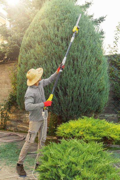 Best Commercial Tree Services  in Moosic, PA